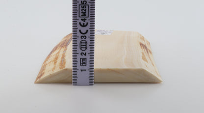 White mammoth ivory segment