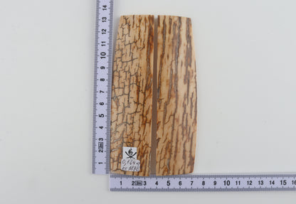 Natural mammoth bark scales