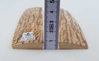 Natural mammoth bark scales