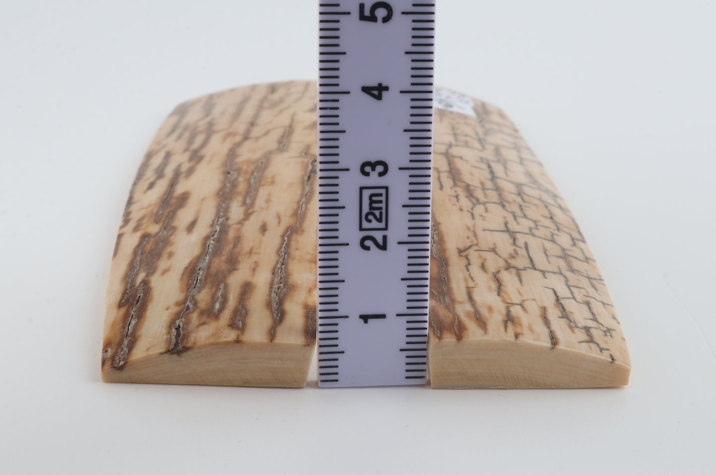Natural mammoth bark scales
