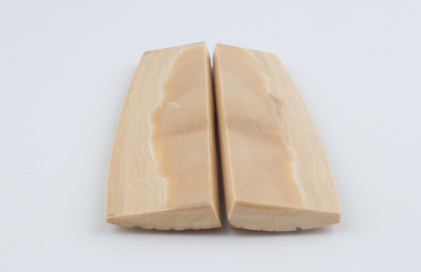 Natural mammoth bark scales