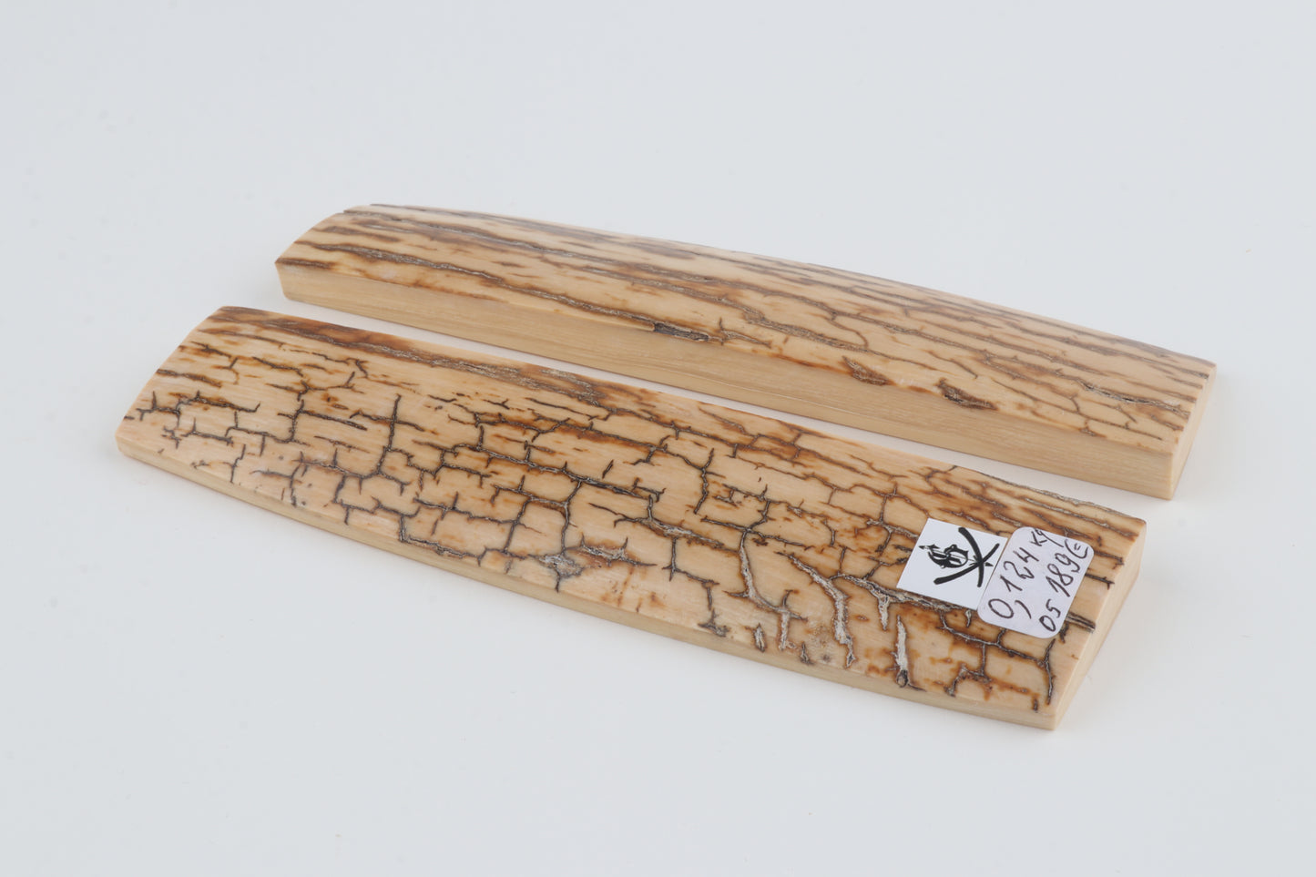 Natural mammoth bark scales