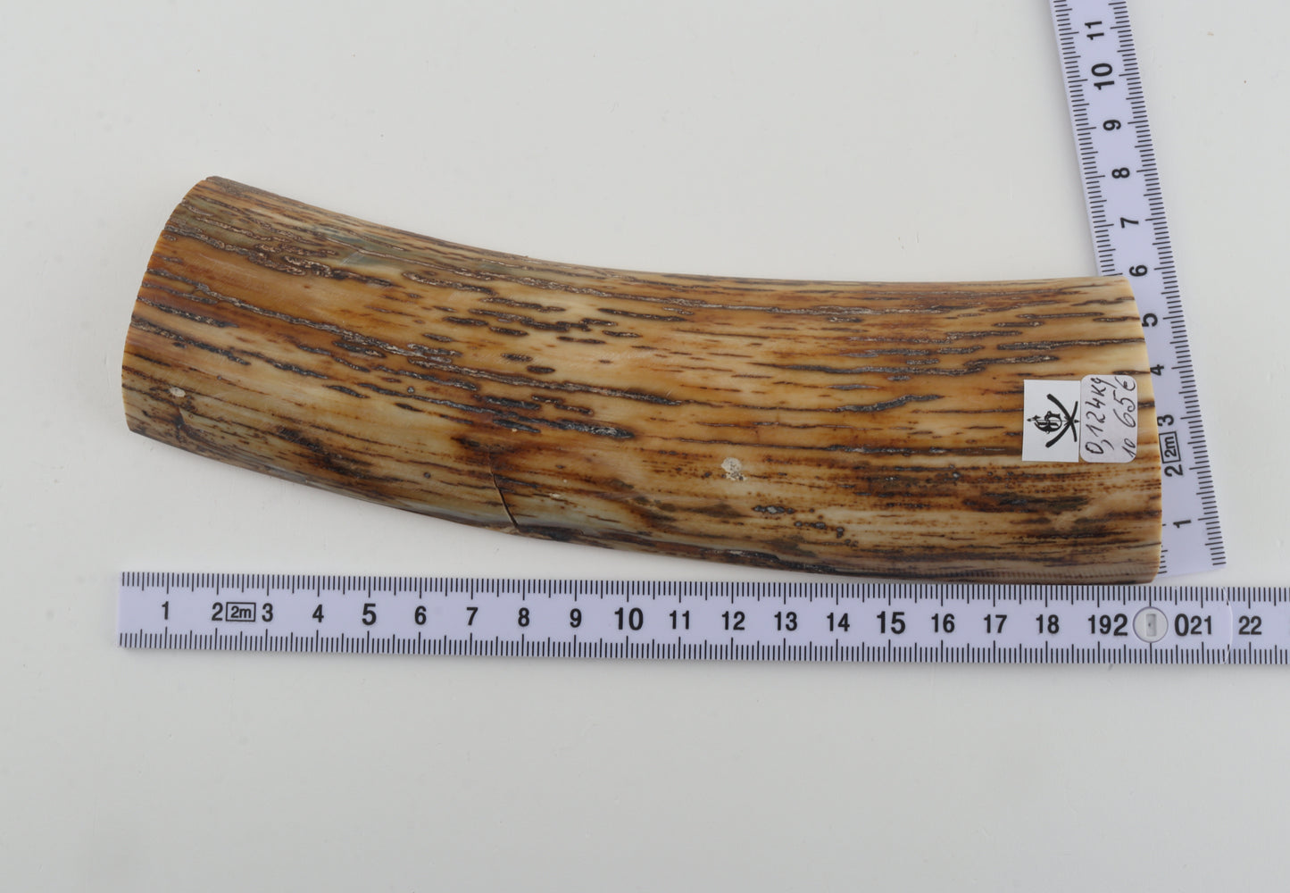 Natural woolly mammoth bark