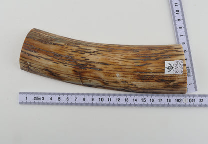 Natural woolly mammoth bark