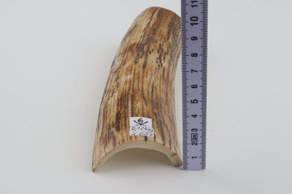 Natural woolly mammoth bark