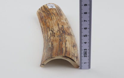 Natural woolly mammoth bark