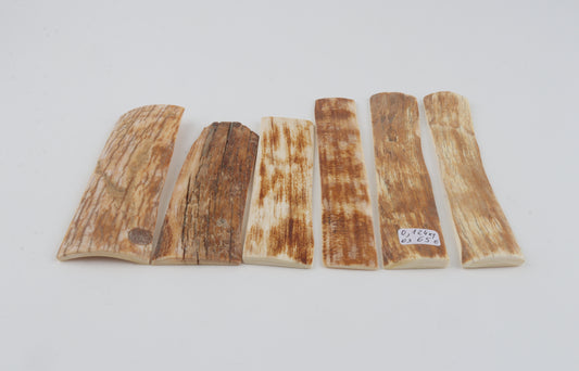 Natural mammoth bark pieces