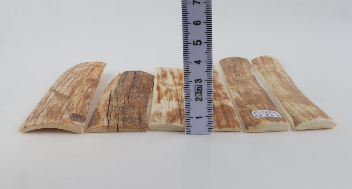 Natural mammoth bark pieces