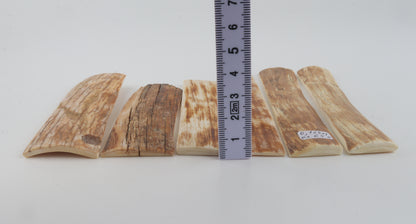 Natural mammoth bark pieces