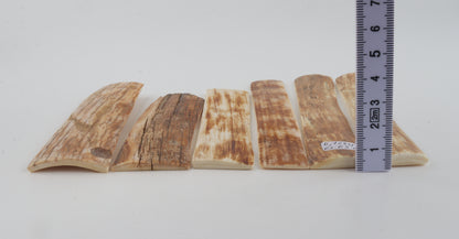 Natural mammoth bark pieces