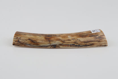 Natural woolly mammoth bark