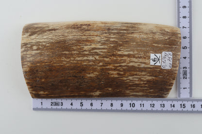 Brown-cream mammoth bark