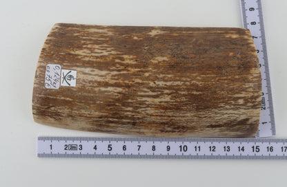 Brown-cream mammoth bark