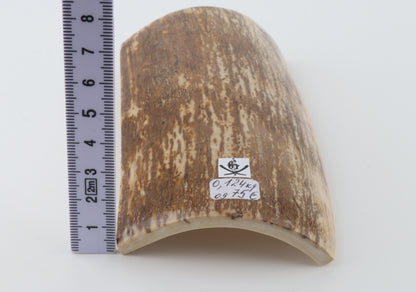 Brown-cream mammoth bark