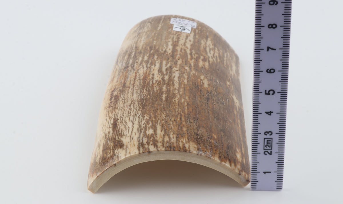 Brown-cream mammoth bark