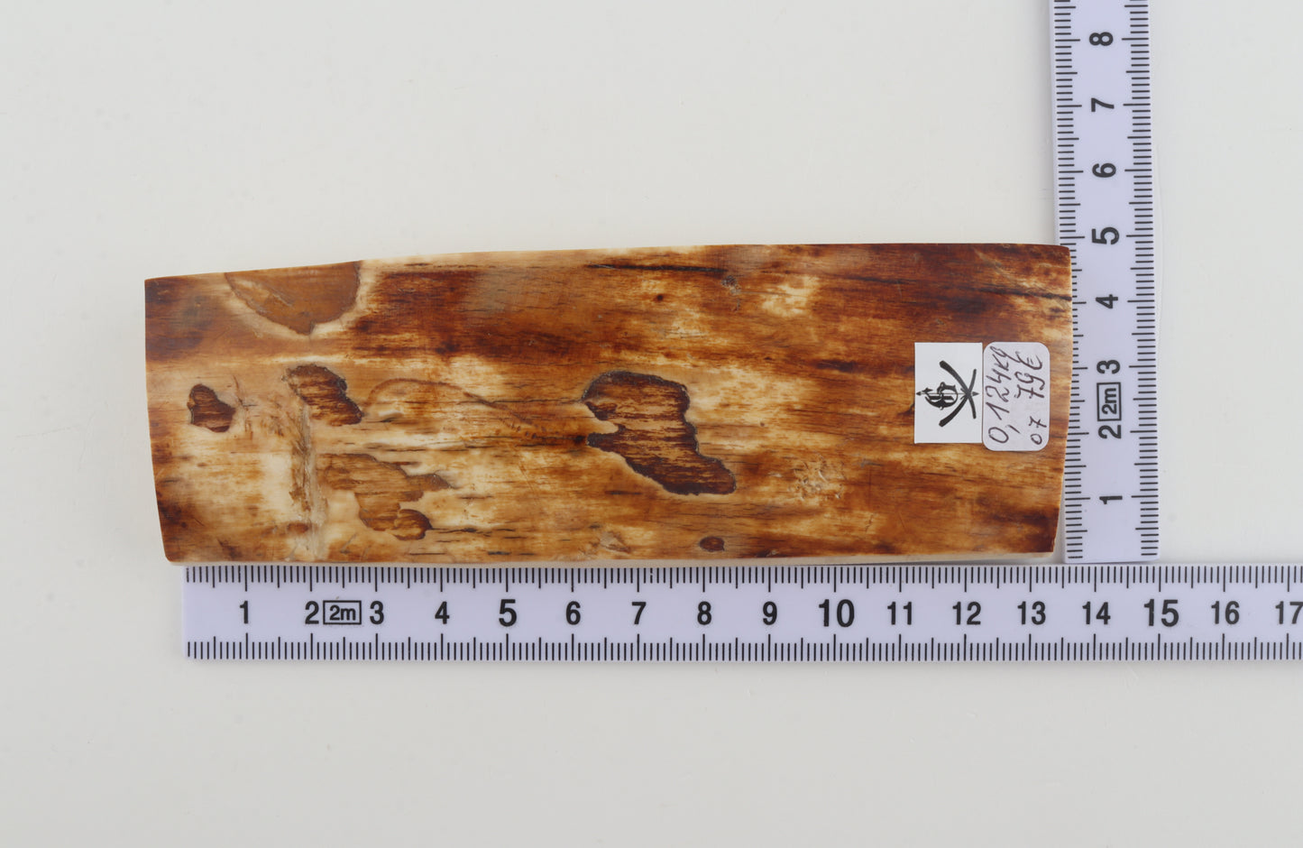 Brown-creme mammoth bark