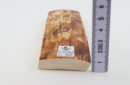 Brown-creme mammoth bark
