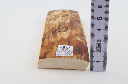 Brown-creme mammoth bark