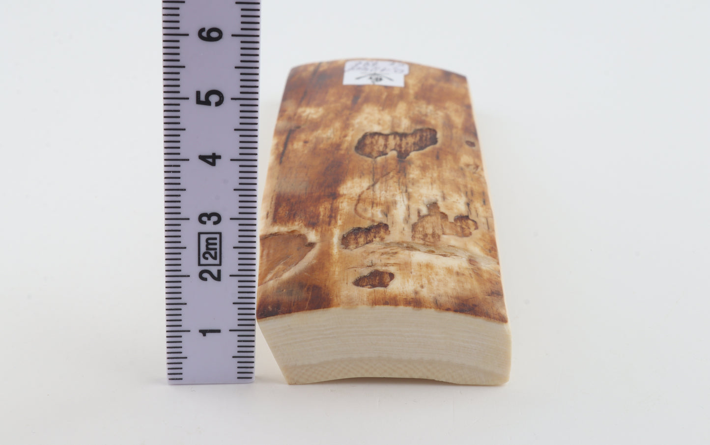 Brown-creme mammoth bark