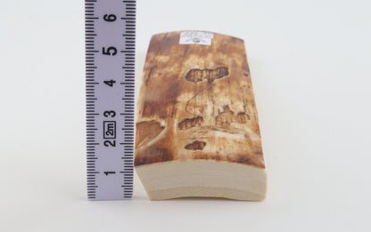 Brown-creme mammoth bark