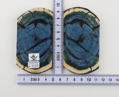 Stabilized mammoth ivory scales