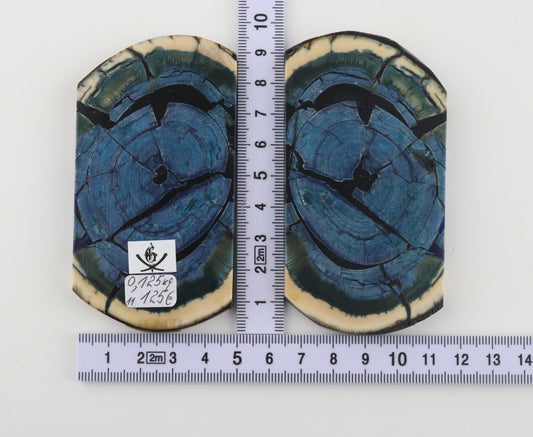 Stabilized mammoth ivory scales