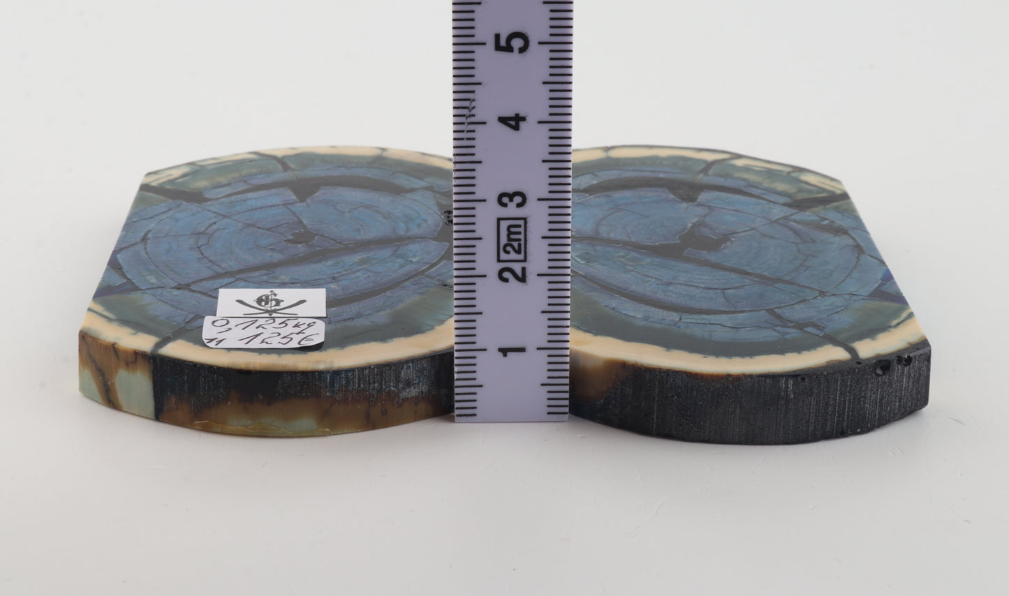 Stabilized mammoth ivory scales