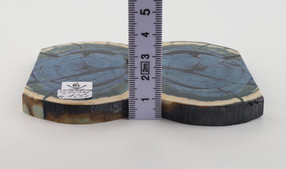 Stabilized mammoth ivory scales