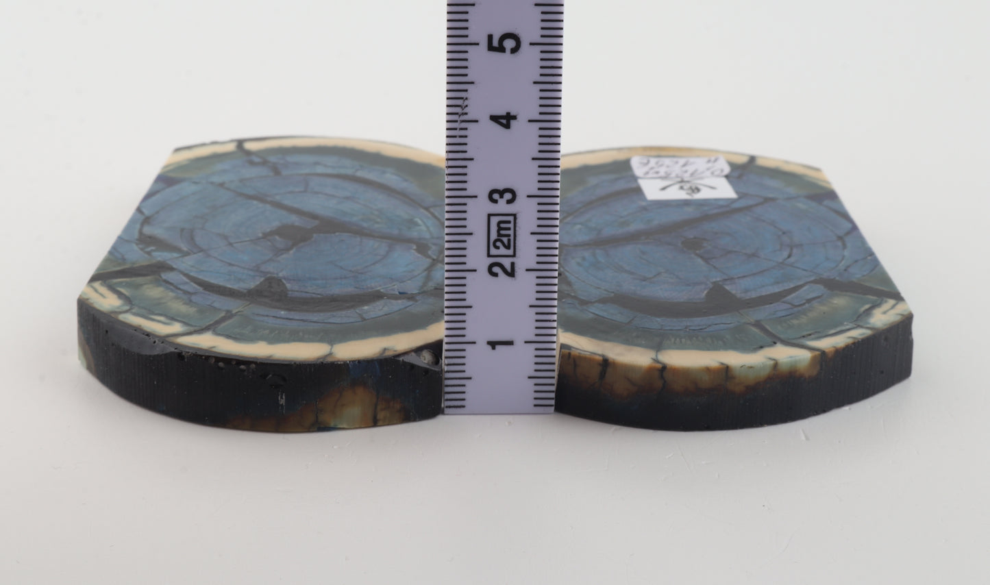 Stabilized mammoth ivory scales