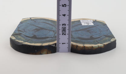 Stabilized mammoth ivory scales