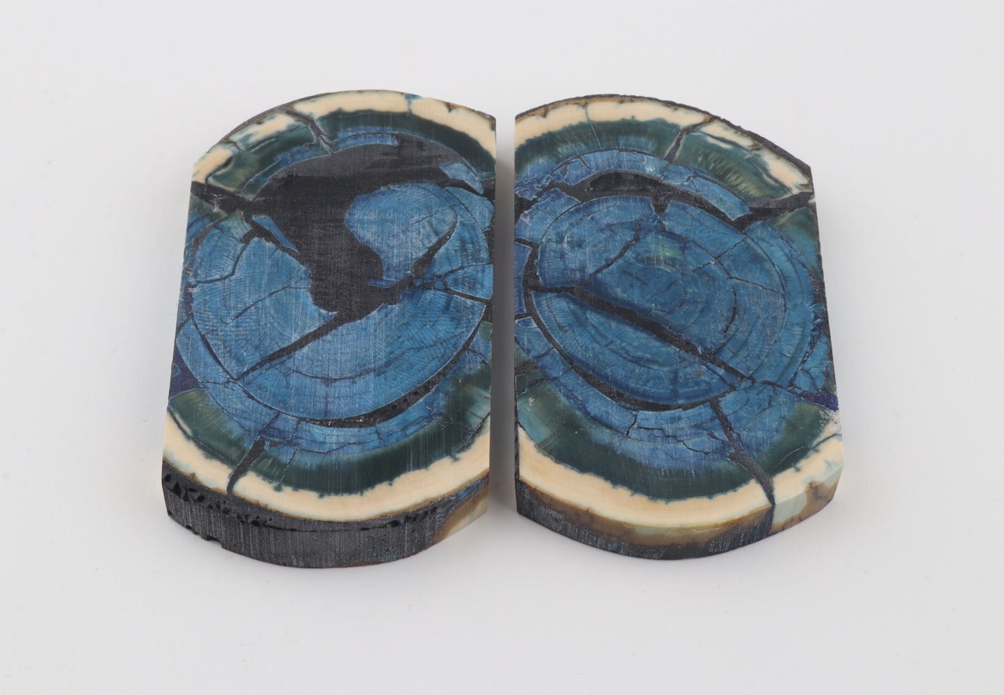 Stabilized mammoth ivory scales