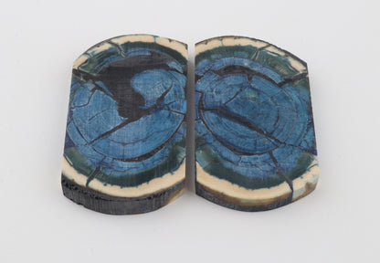 Stabilized mammoth ivory scales