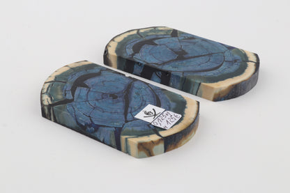 Stabilized mammoth ivory scales