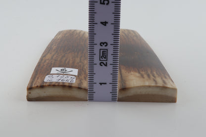 Natural mammoth bark scales