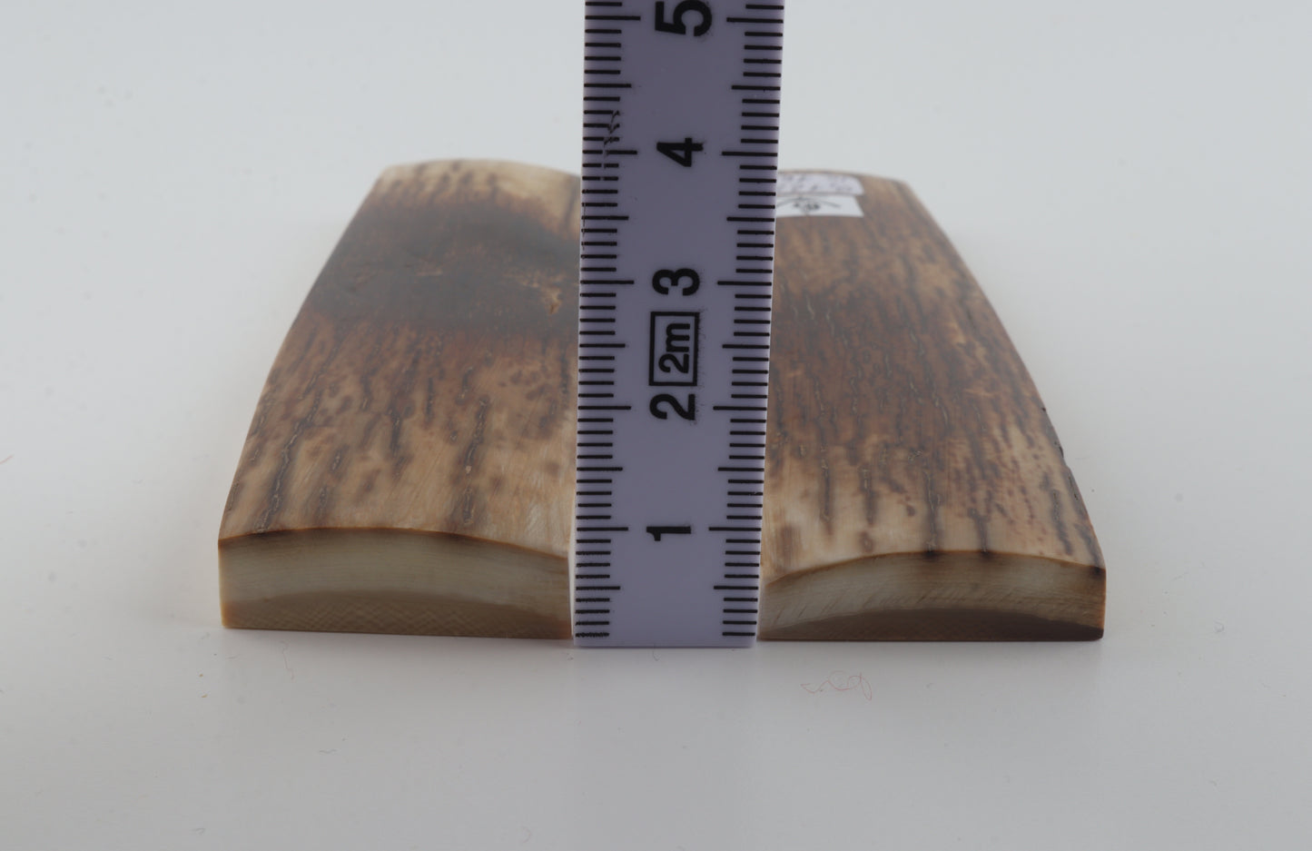 Natural mammoth bark scales