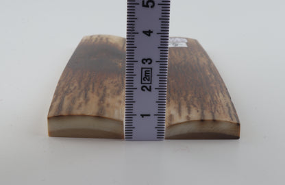 Natural mammoth bark scales