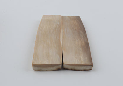 Natural mammoth bark scales