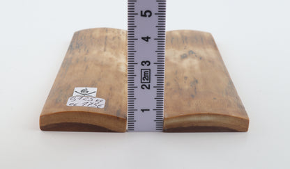 Natural mammoth bark scales