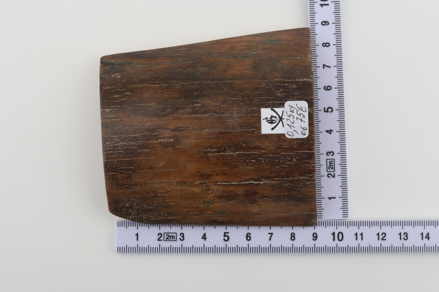 Brown-yellow mammoth bark