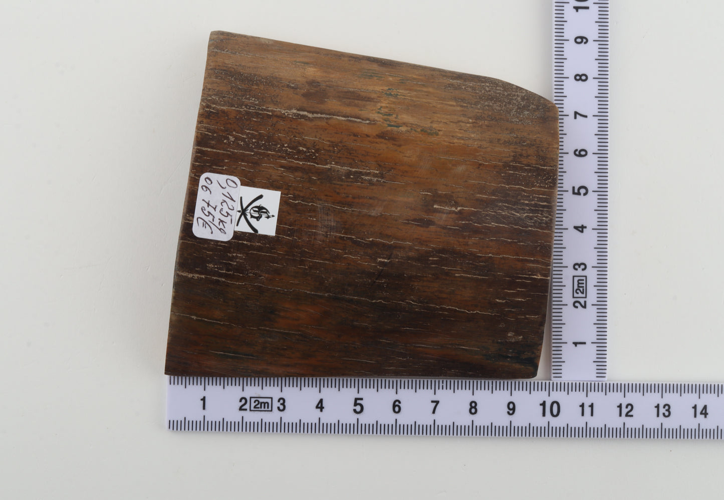 Brown-yellow mammoth bark