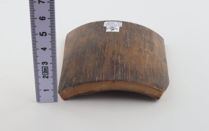 Brown-yellow mammoth bark