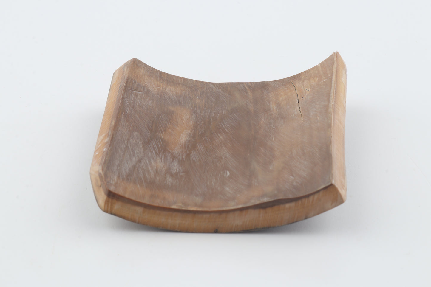 Brown-yellow mammoth bark