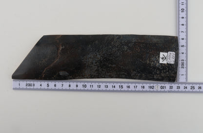 Blue woolly mammoth bark