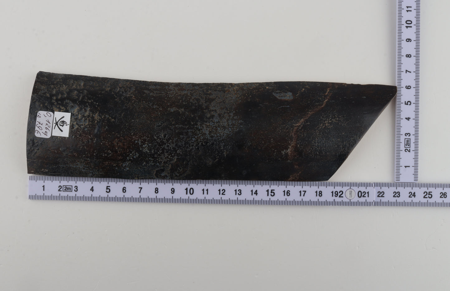 Blue woolly mammoth bark