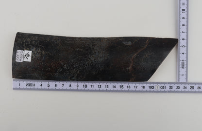 Blue woolly mammoth bark