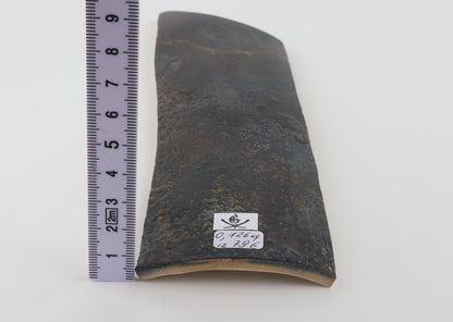 Blue woolly mammoth bark