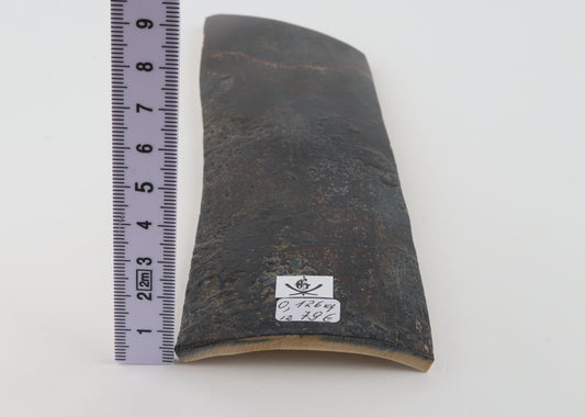 Blue woolly mammoth bark