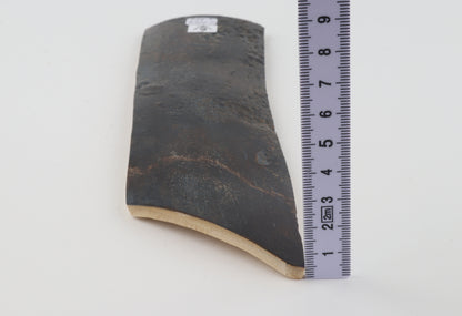 Blue woolly mammoth bark