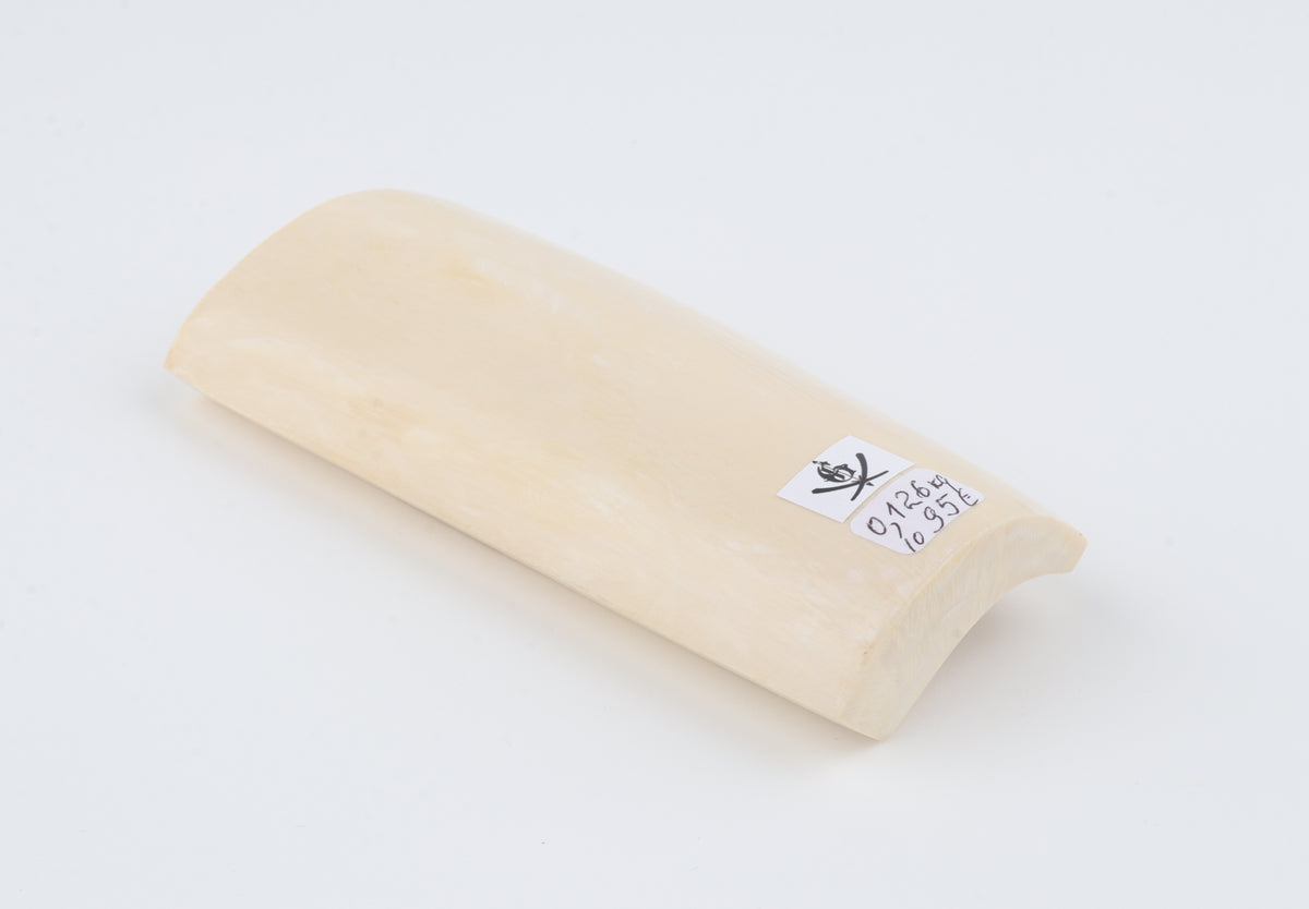 White mammoth ivory segment