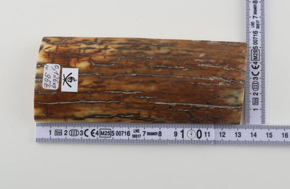 Caramel mammoth bark